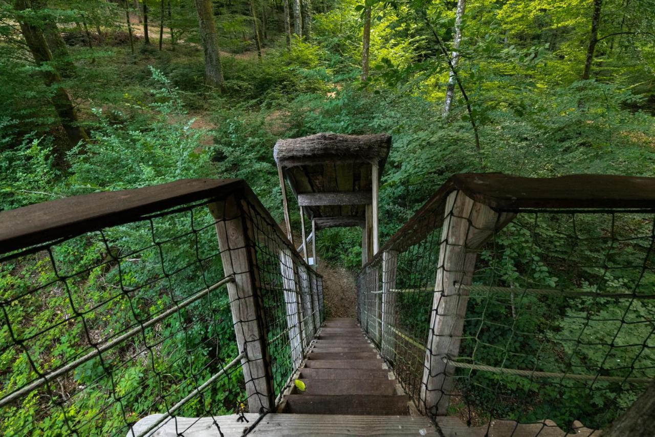 L'Arbre A Cabane Guyonvelle Eksteriør bilde
