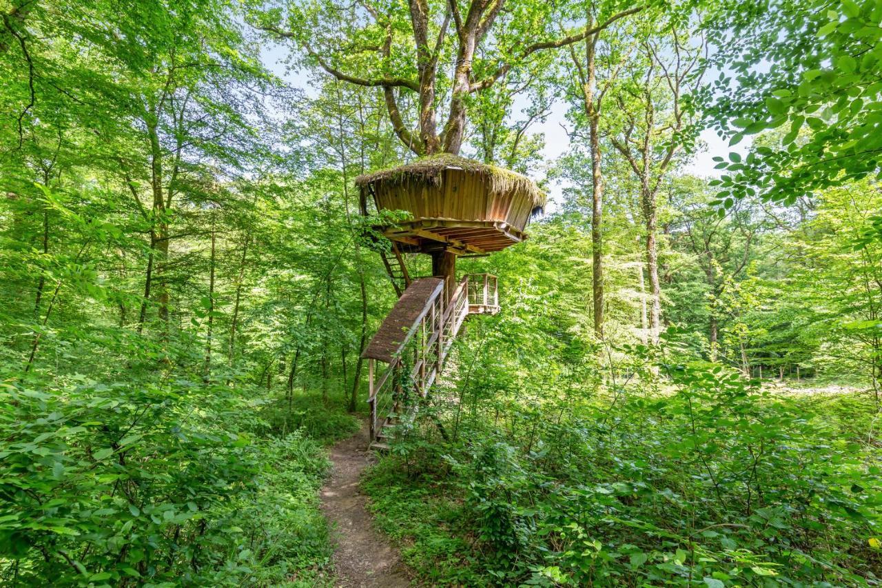 L'Arbre A Cabane Guyonvelle Eksteriør bilde