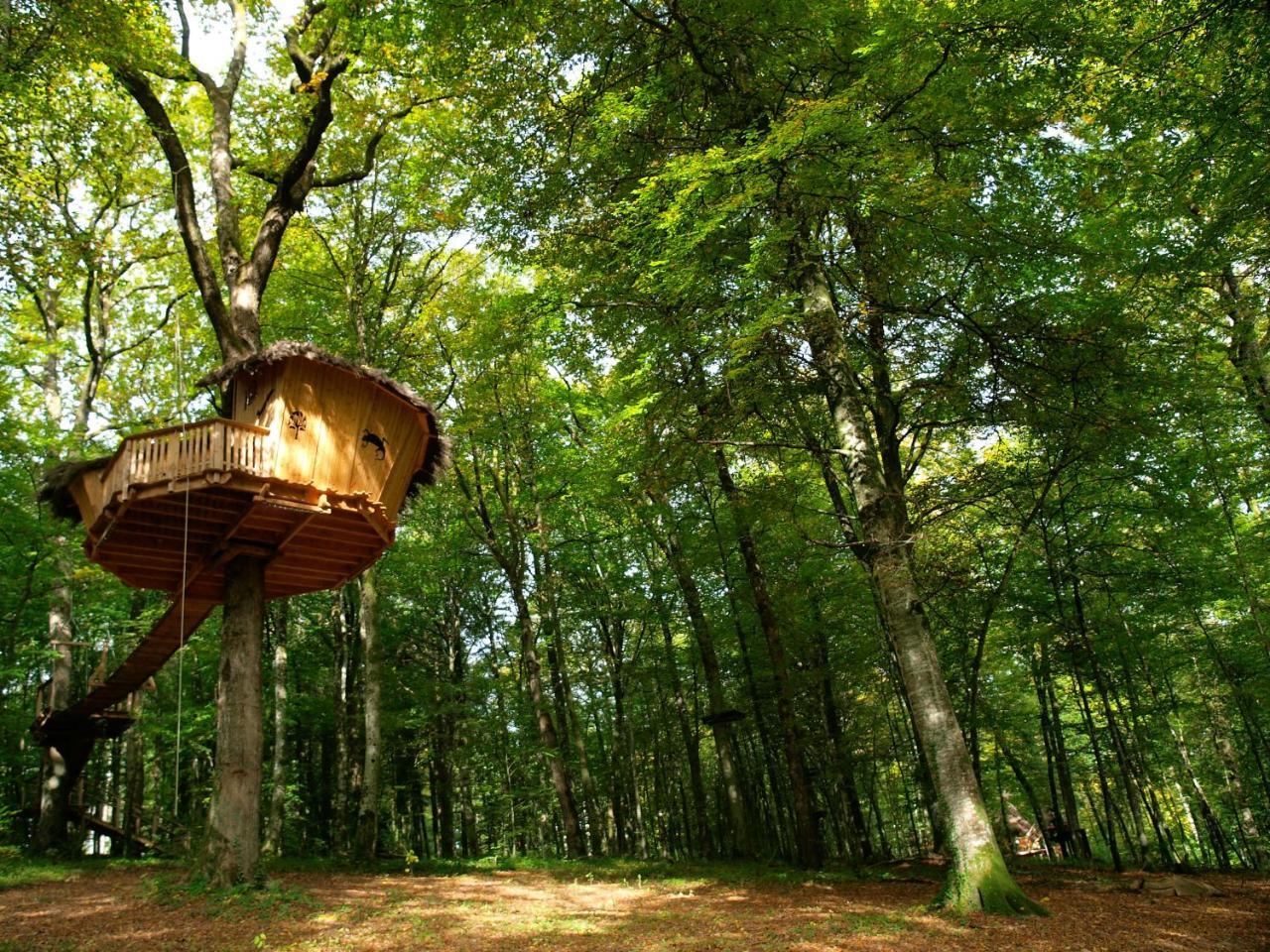 L'Arbre A Cabane Guyonvelle Eksteriør bilde
