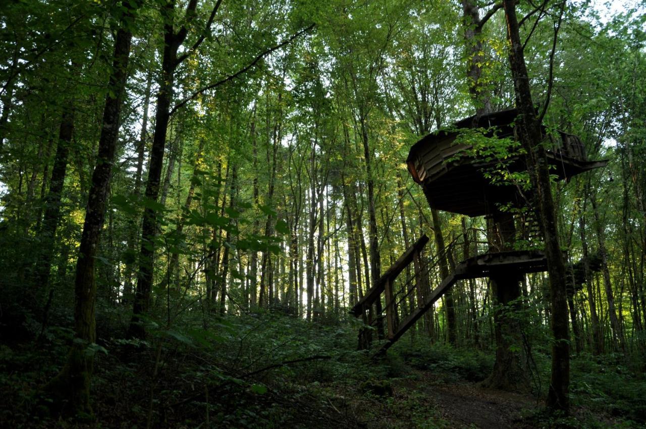 L'Arbre A Cabane Guyonvelle Eksteriør bilde