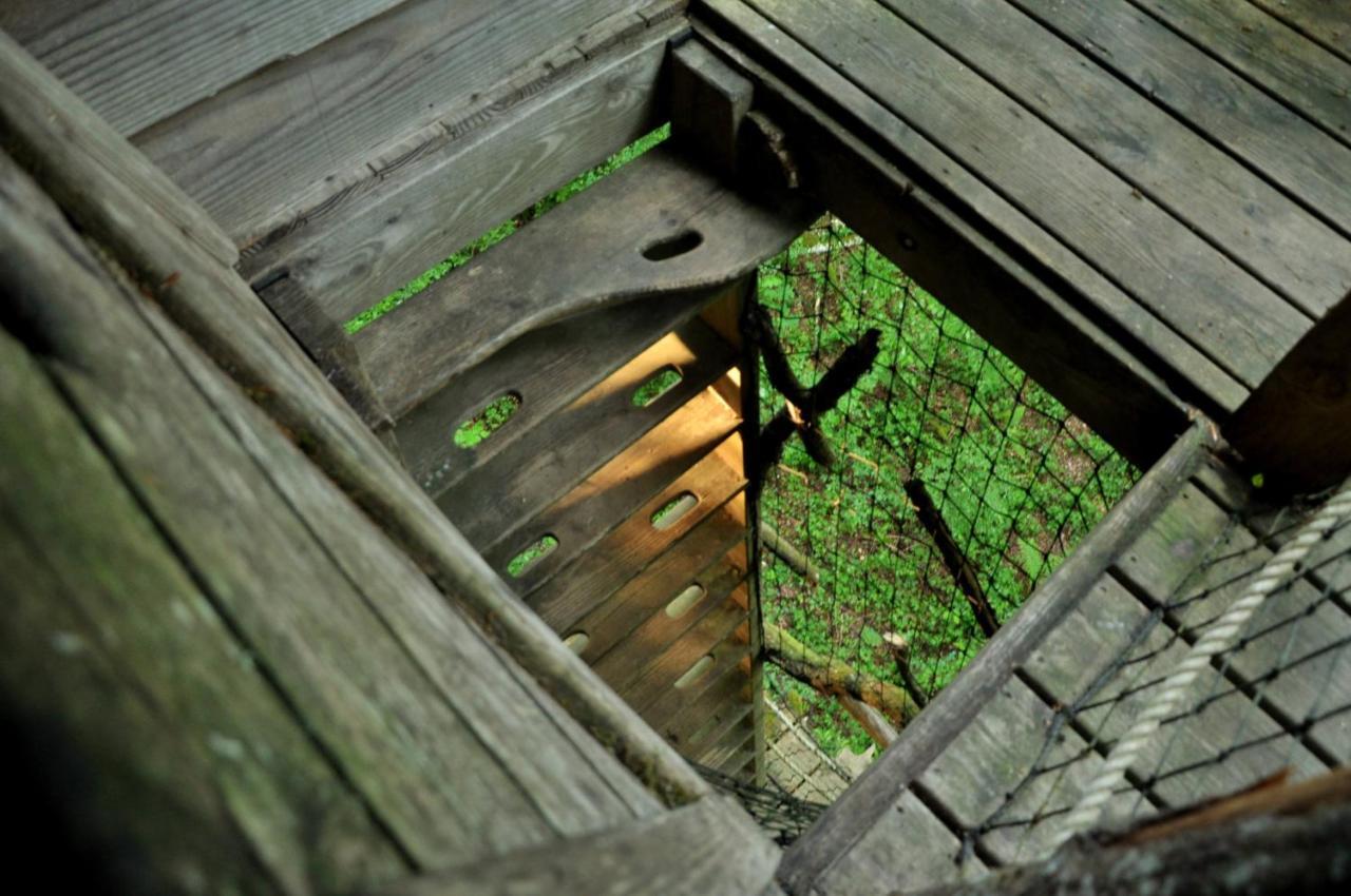 L'Arbre A Cabane Guyonvelle Eksteriør bilde