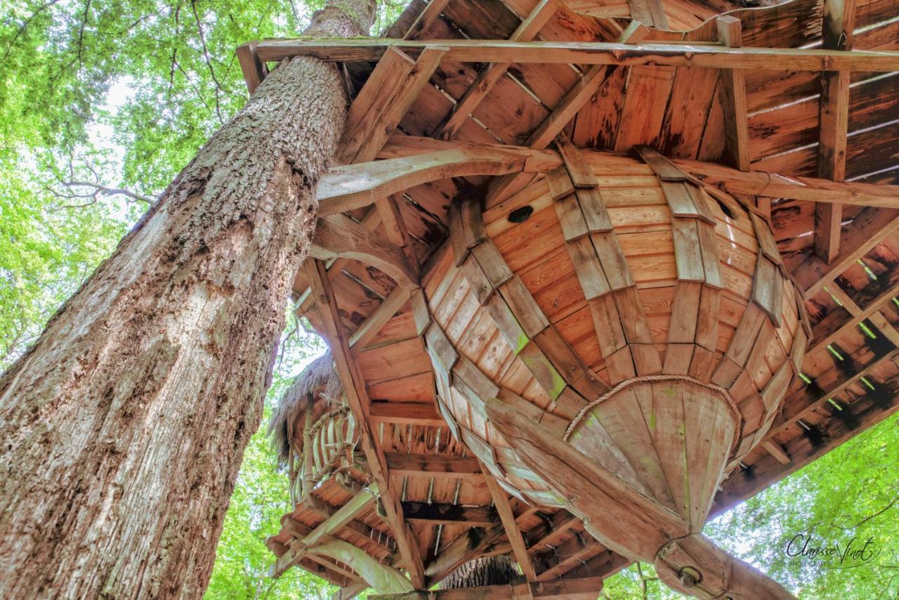 L'Arbre A Cabane Guyonvelle Eksteriør bilde