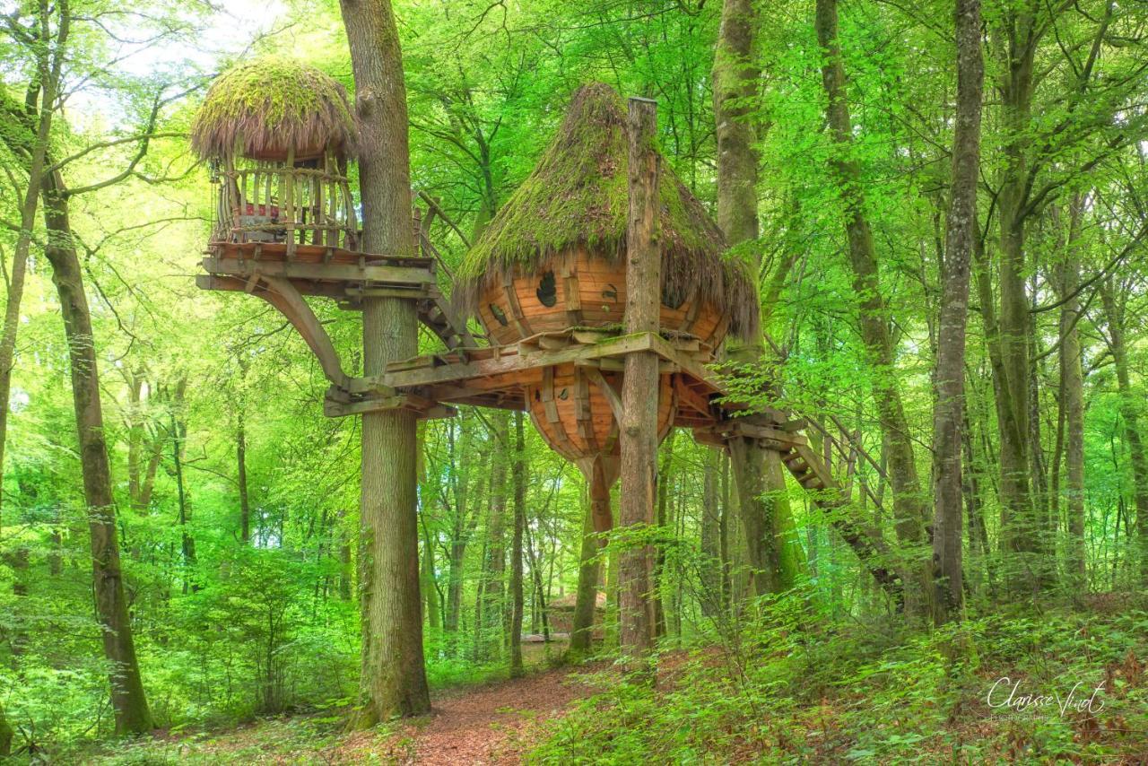 L'Arbre A Cabane Guyonvelle Eksteriør bilde